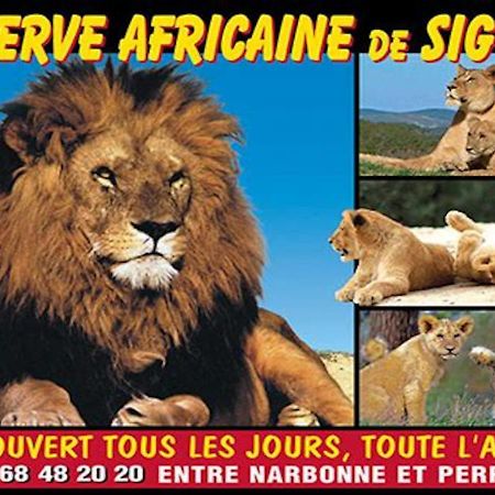 Agreable Maison De Famille Sur Gite Echarou Sigean Buitenkant foto