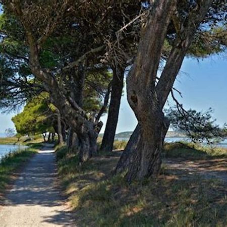 Agreable Maison De Famille Sur Gite Echarou Sigean Buitenkant foto